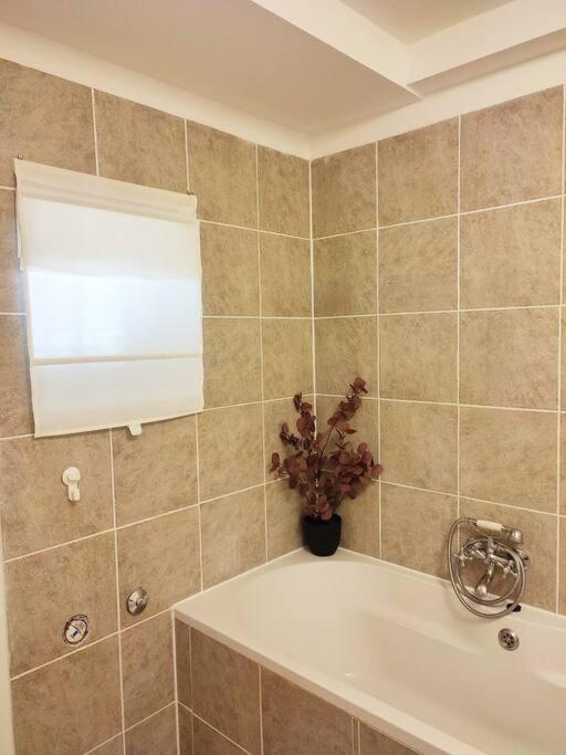 Apartament Family Heritage Split Zewnętrze zdjęcie